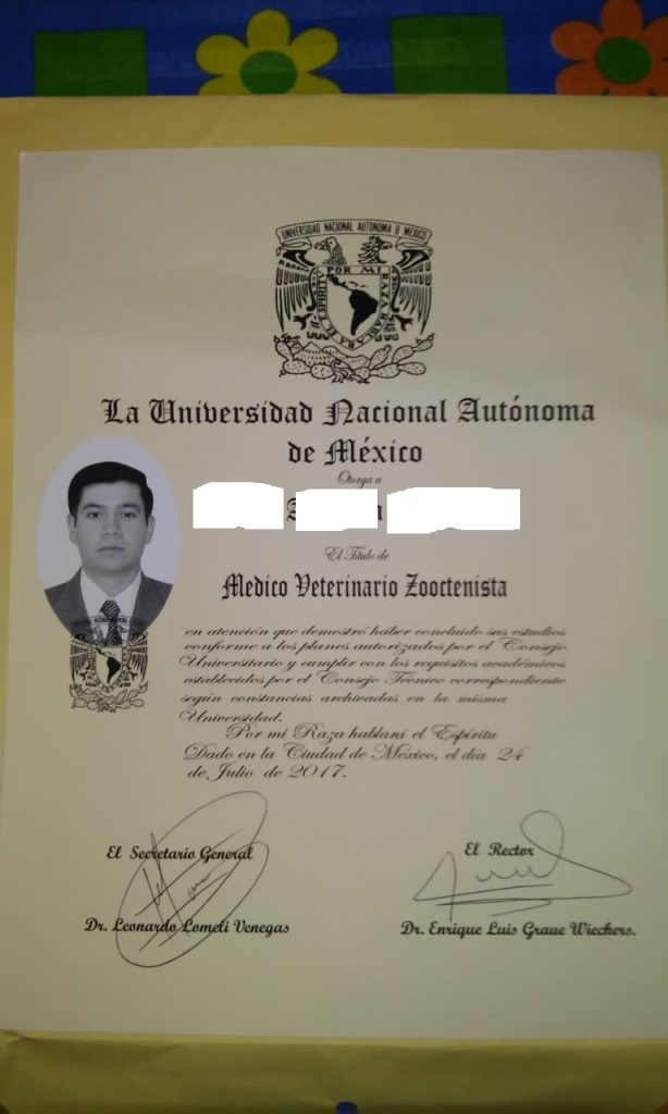 TITULOS UNIVERSITARIOS SIN ESTUDIAR