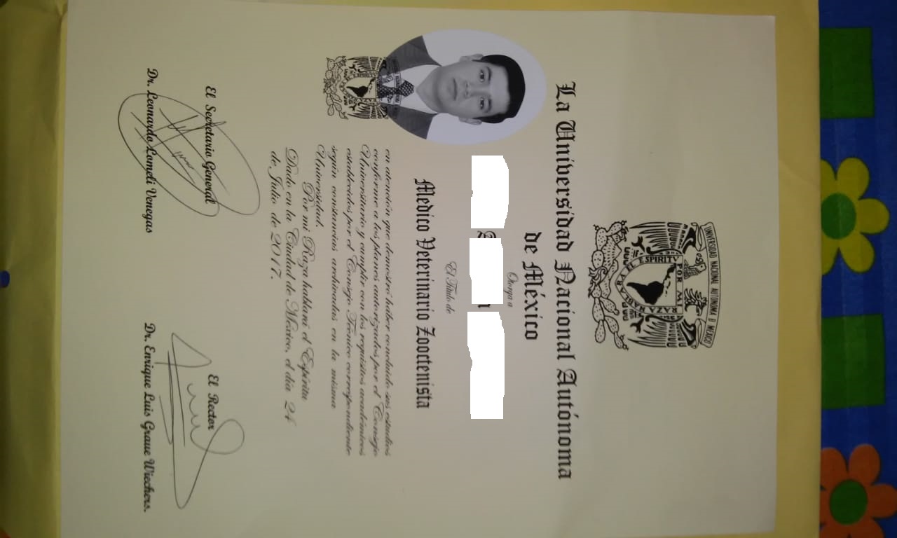 TITULOS UNIVERSITARIOS SIN ESTUDIAR